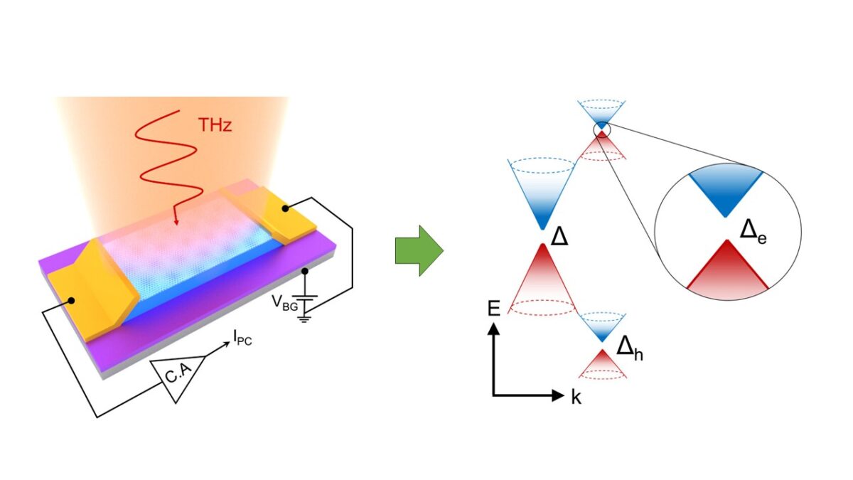Unveiling the Miniband Structure of Graphene Moiré Superlattices via THz Photocurrent Spectroscopy